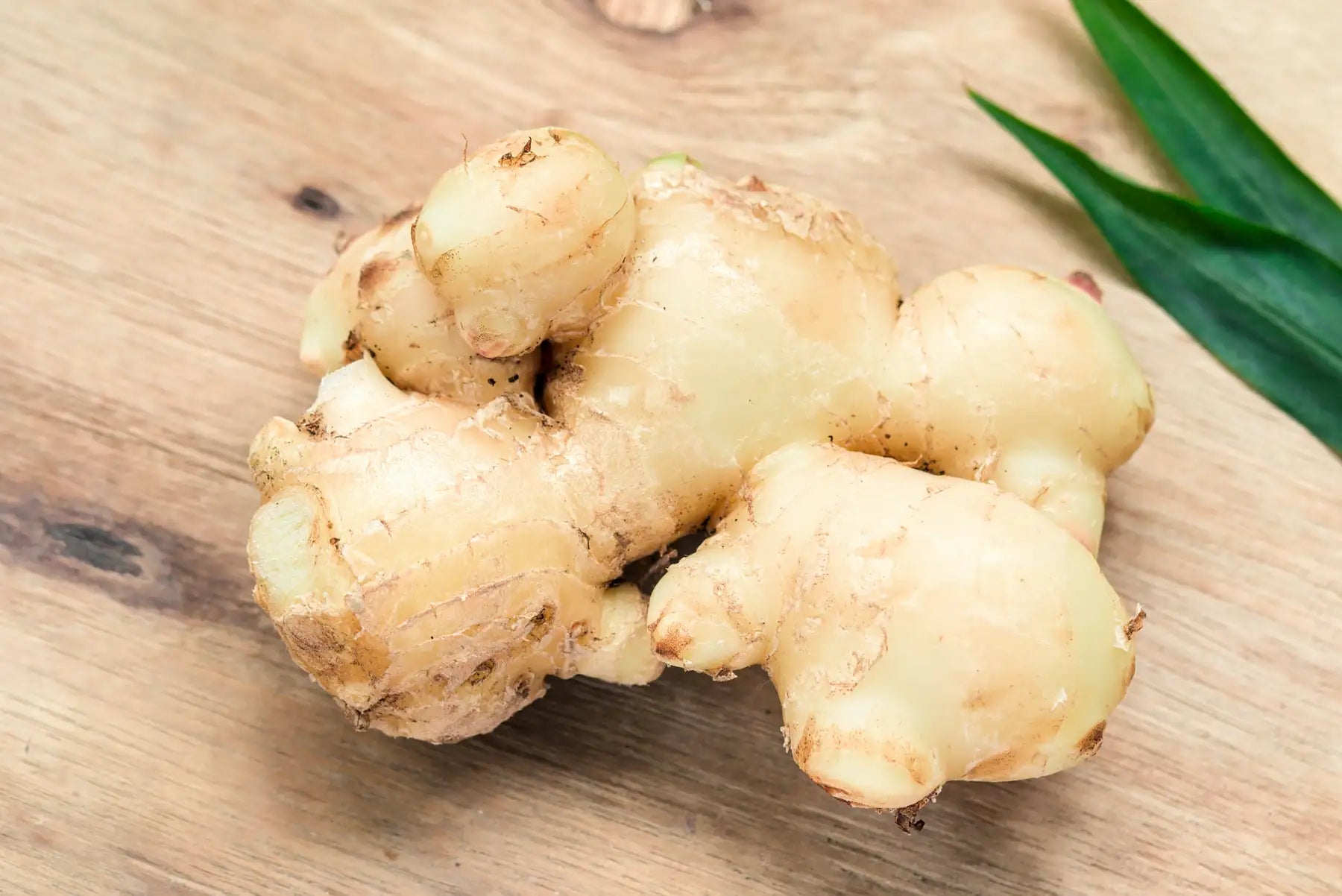 Health Benefits of Ginger: Recovery Optimization