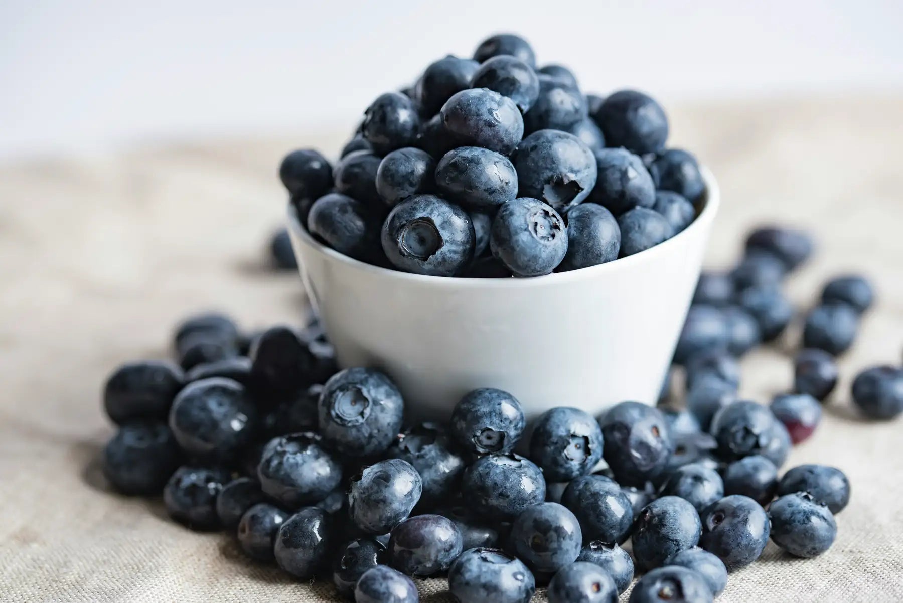 Health Benefits of Blueberries: Recovery-Accelerating Antioxidants