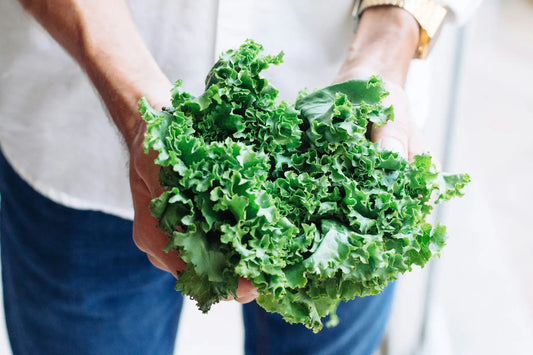 Health Benefits of Kale: The Ultimate Training Green