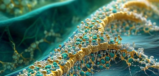 Rest and Recovery: Why Warriors Must Master the Art of Rebuilding