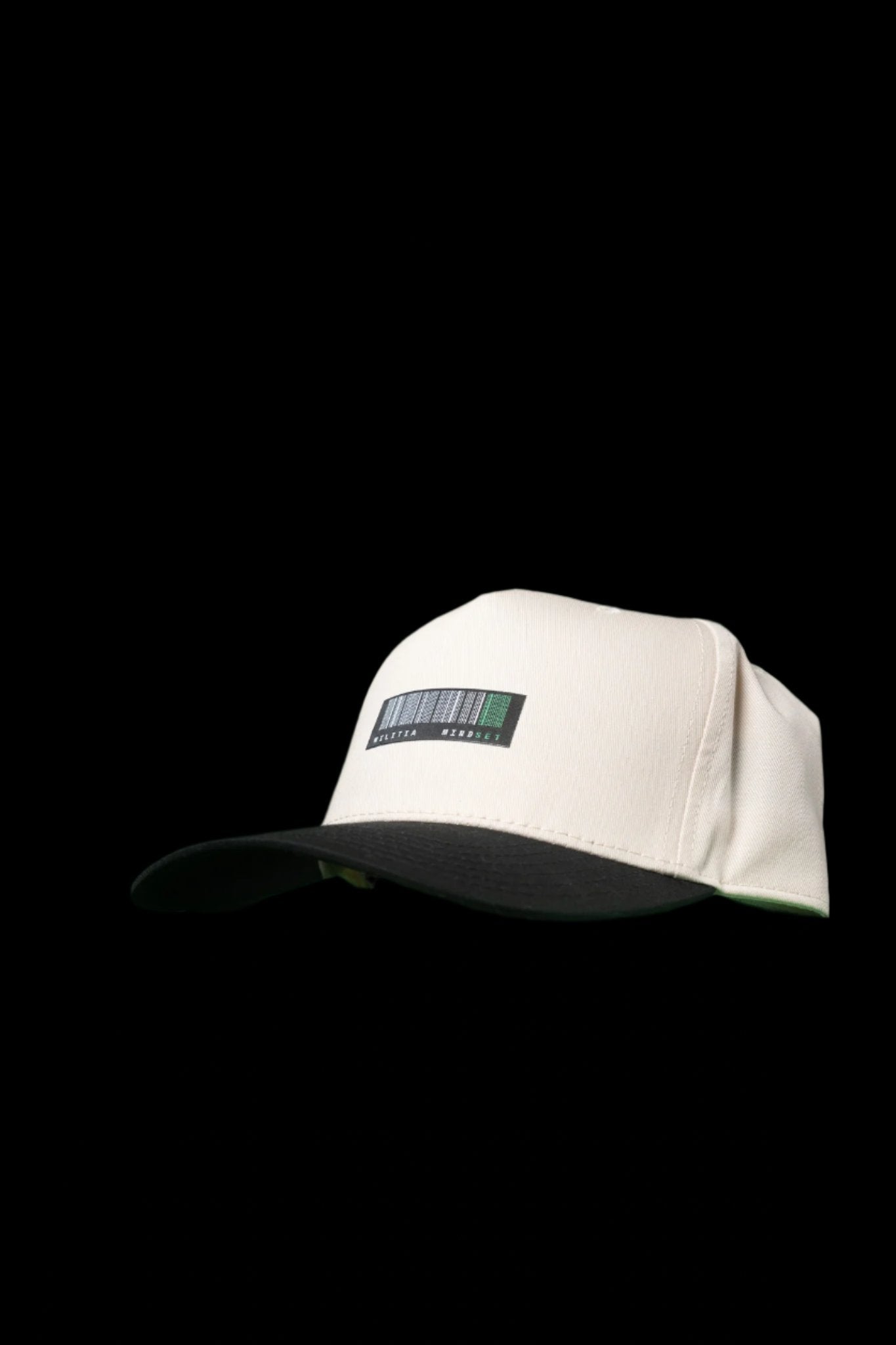 Militia Co. Stealth Classic Fit Hat